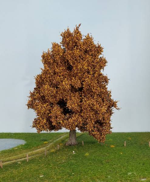 Eiche Spätherbst Profi